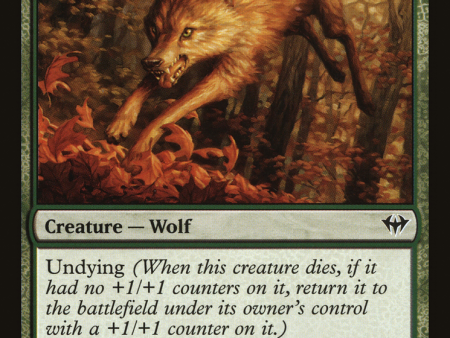 Young Wolf [The List] Discount