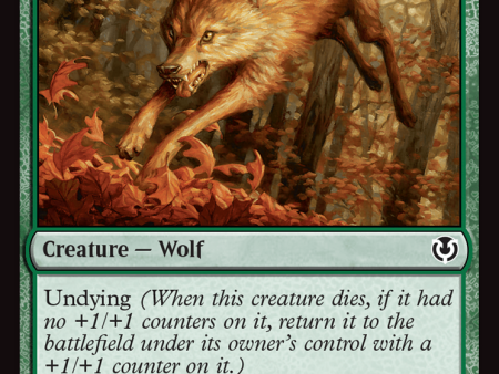 Young Wolf [Innistrad Remastered] Online Hot Sale