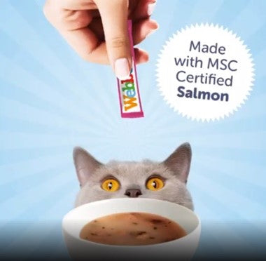 WEBBOX LICK-E-LICIOUS SALMON CAT TREATS 4x20G on Sale