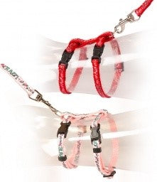 CAT HARNESS-LEAD LOVE on Sale